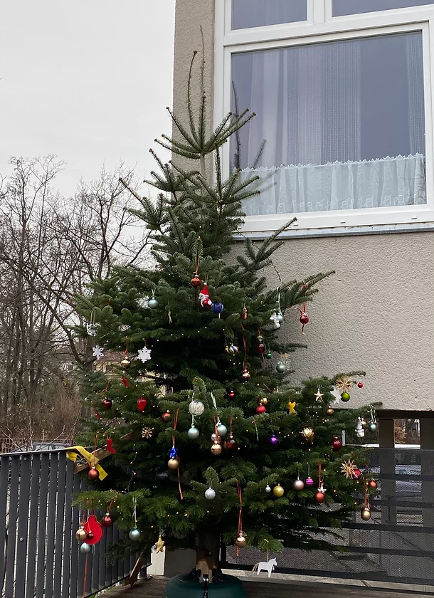 Weihnachtsbaum 2021